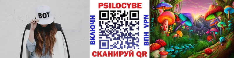 купить   Староминская  Галлюциногенные грибы Magic Shrooms 