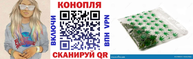 Каннабис индика Староминская